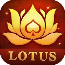 teen patti live3patti download